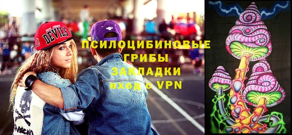 дурь Белоозёрский