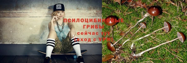 спиды Белокуриха
