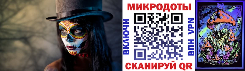 Псилоцибиновые грибы прущие грибы Белозерск